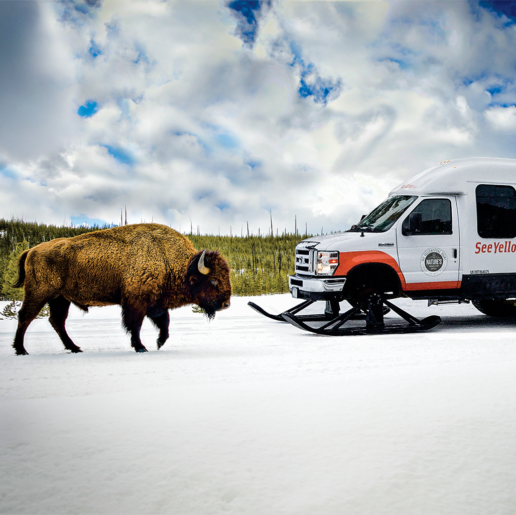 Vanterra_Bison_Retouch