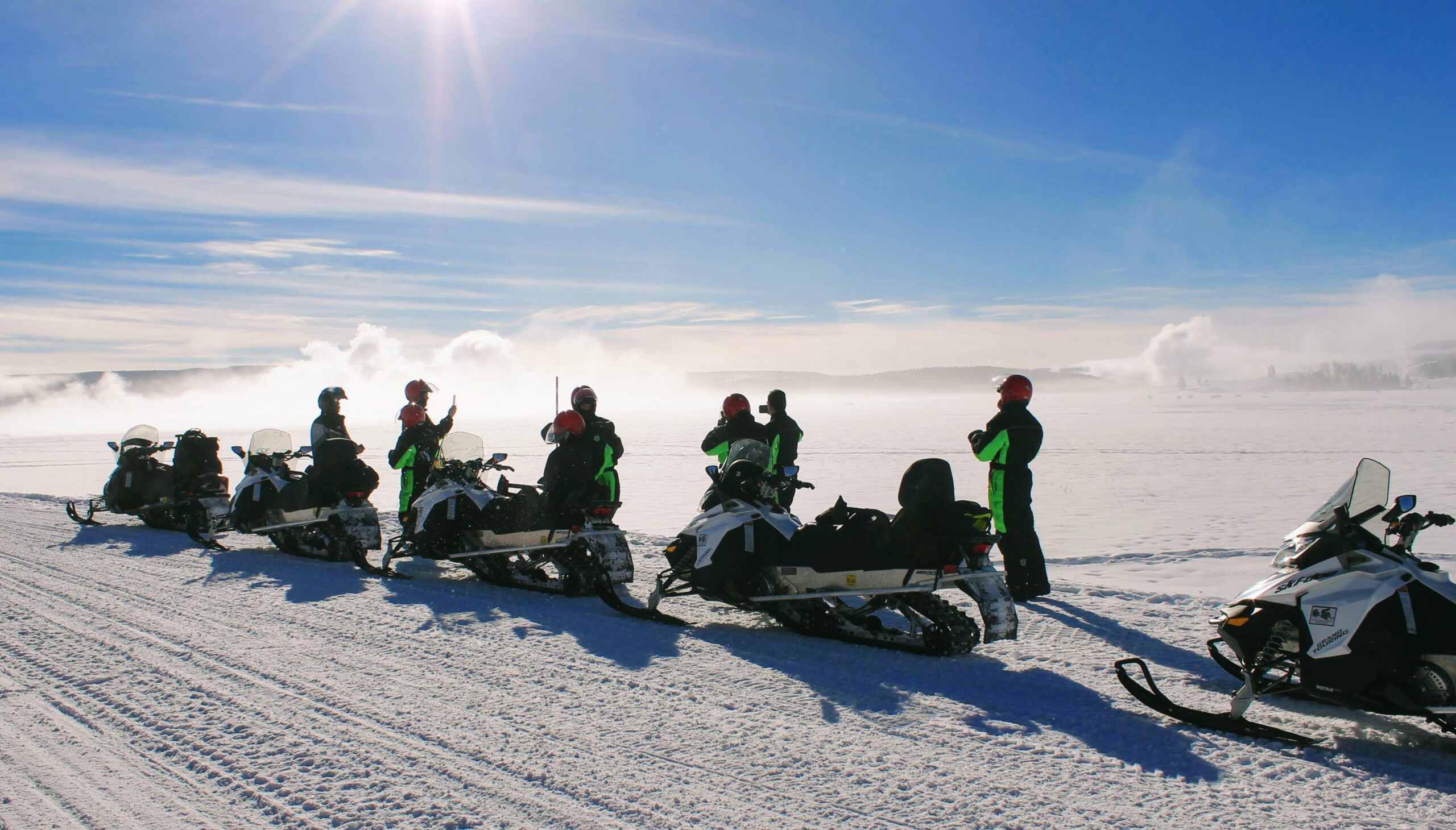 SYAG_SM_Winter_Guests_Blue_Sky_IMG_2750