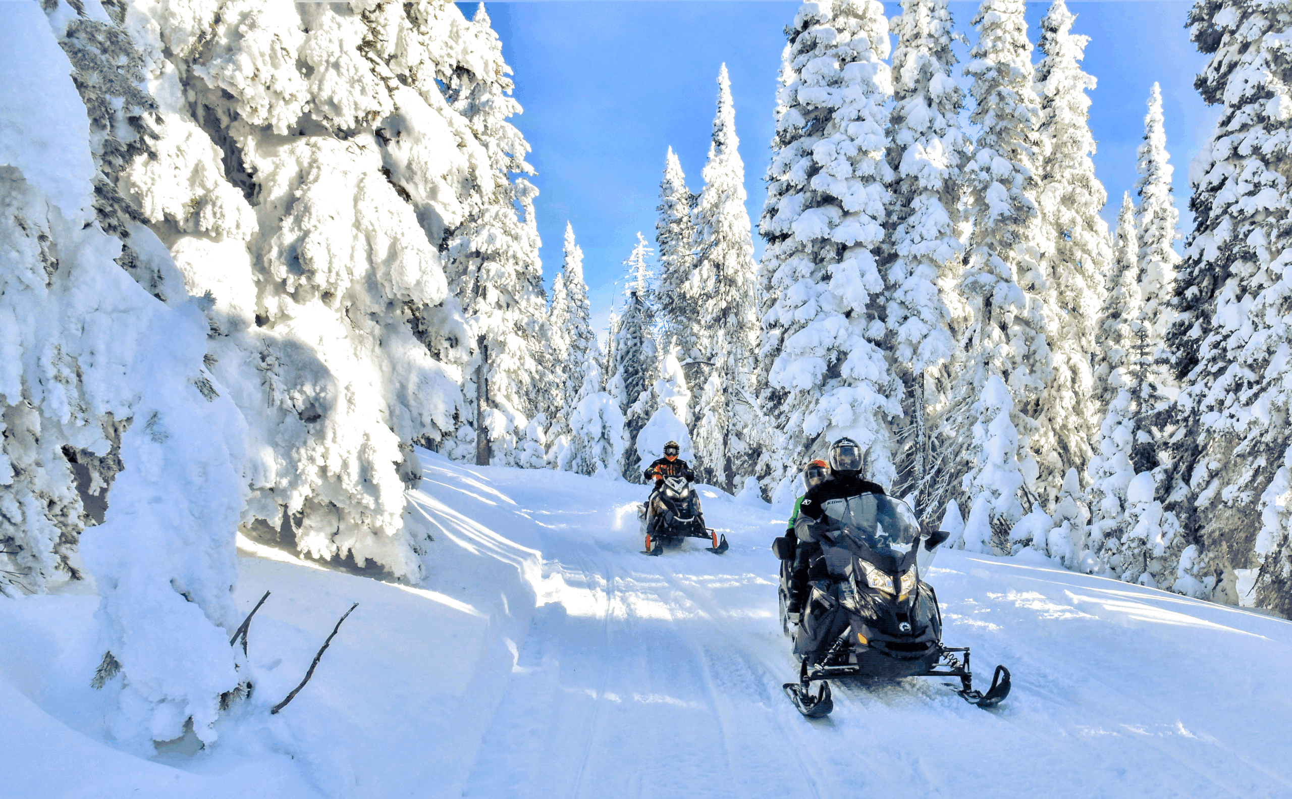 SYT_SM_Winter_TwoTop_dsc_3942_46010218064_Bob_Grove_
